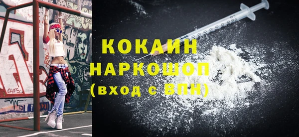 хмурый Осинники