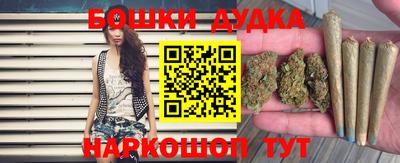 стаф Гатчина