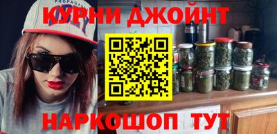стаф Гатчина
