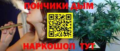 стаф Гатчина