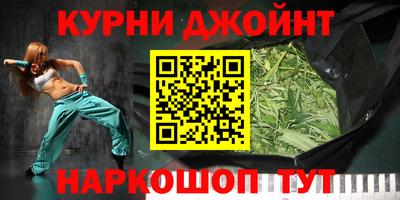 стаф Гатчина