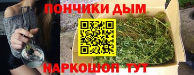 стаф Гатчина