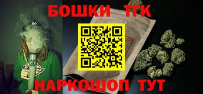 стаф Гатчина