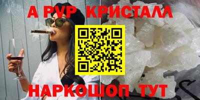 стаф Гатчина