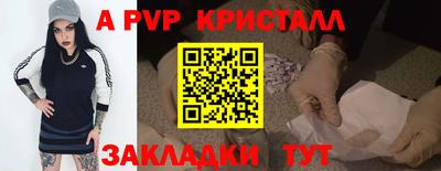 стаф Гатчина
