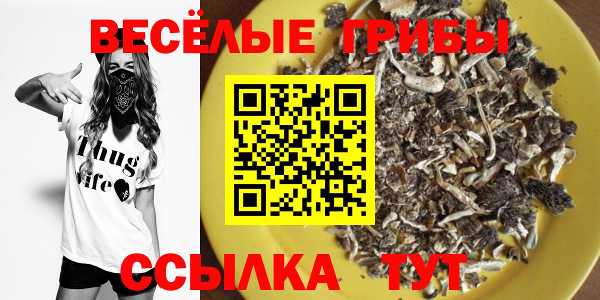 Псилоцибиновые грибы Cubensis  где продают наркотики  Алатырь 