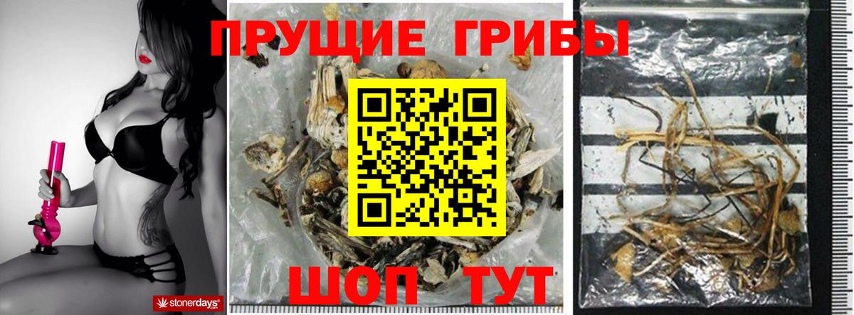 ГАШ Алатырь
