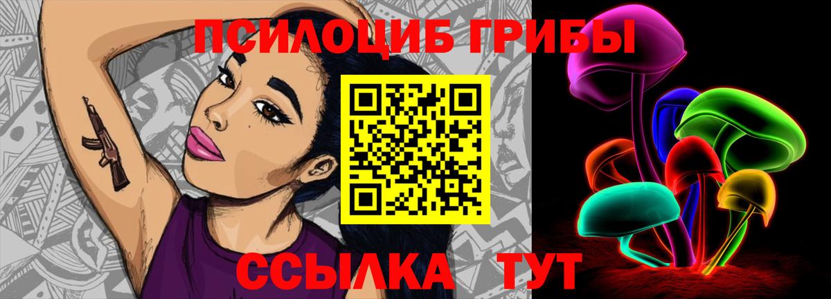 Алатырь  Псилоцибиновые грибы прущие грибы  Вход с VPN 