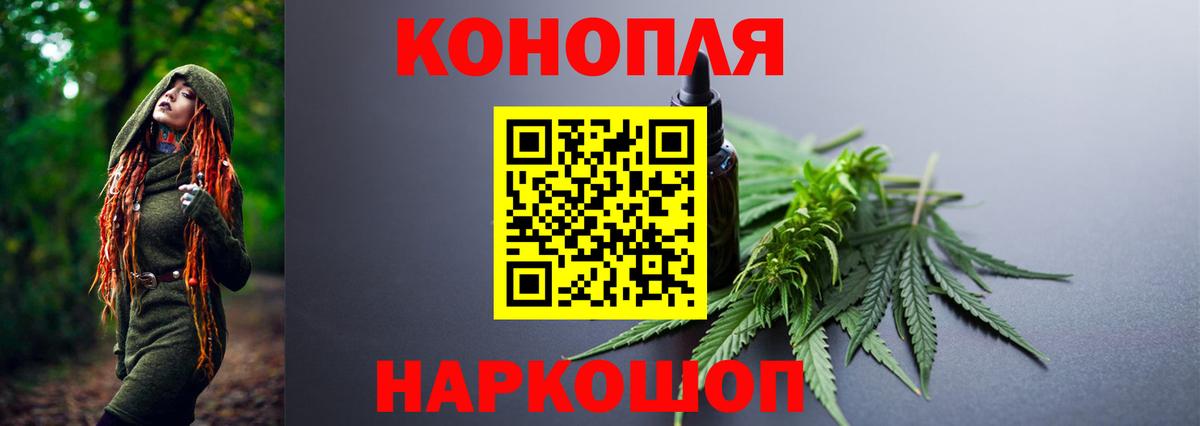 Бошки марихуана OG Kush  Каннабис AK-47  Алатырь  Шишки марихуана планчик 